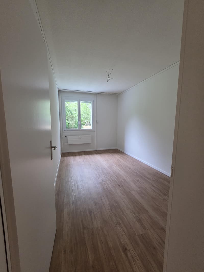 Sanierte Wohung im Wittikofenquartier (8)