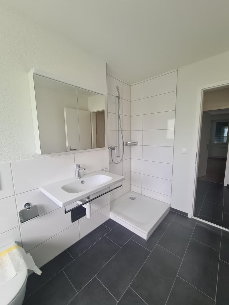 Sanierte 3.5-Zimmerwohnung im Hochparterre (9)