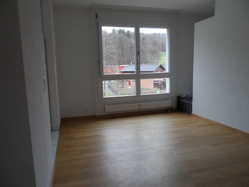Einen Monat mietfrei attraktive 5.5-Zimmer-Duplexwohnung (7)