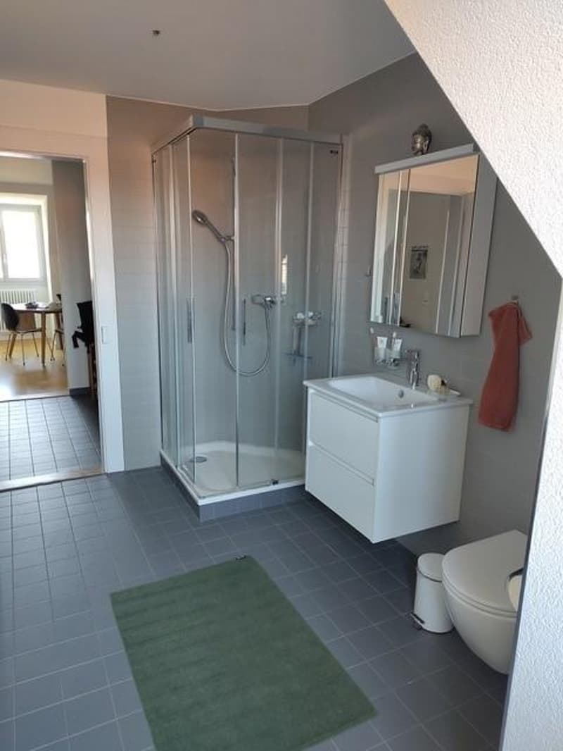 Moderne Dachwohnung an ruhiger Lage in Bern (3)