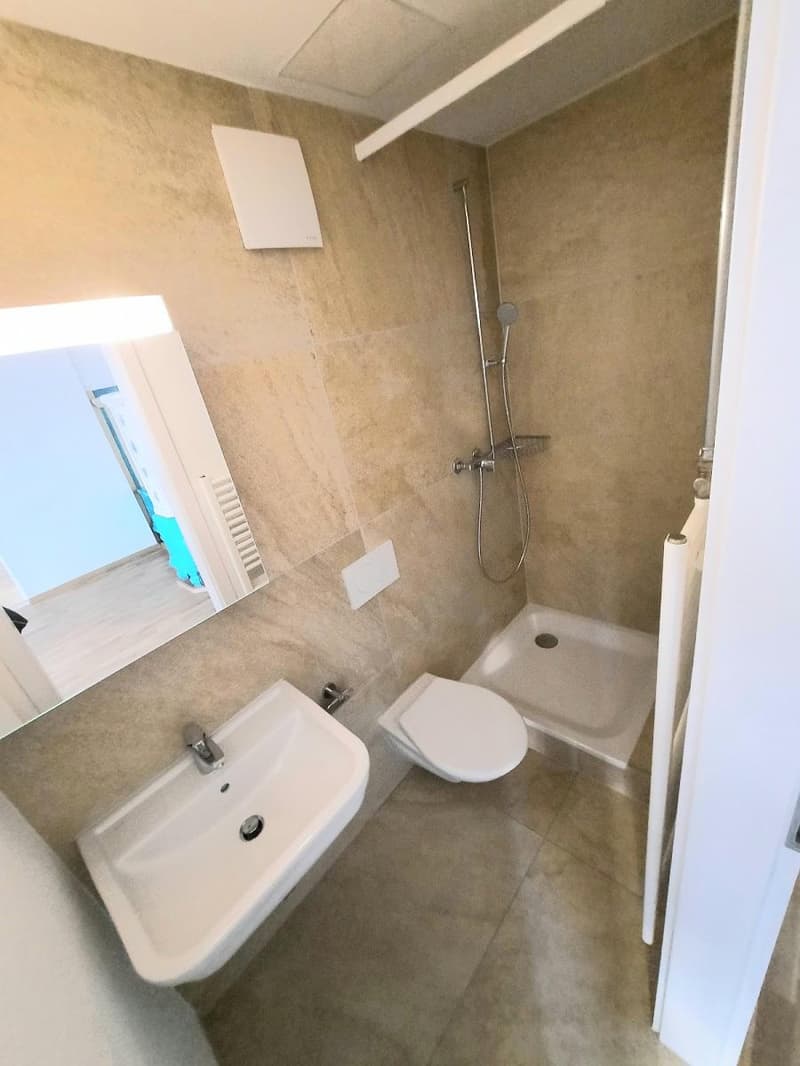 Bijou 2.5-Zimmerwohnung in Biel/Bienne (4)