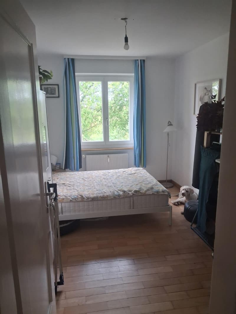 Charmante Wohnung im Hochparterre (6)