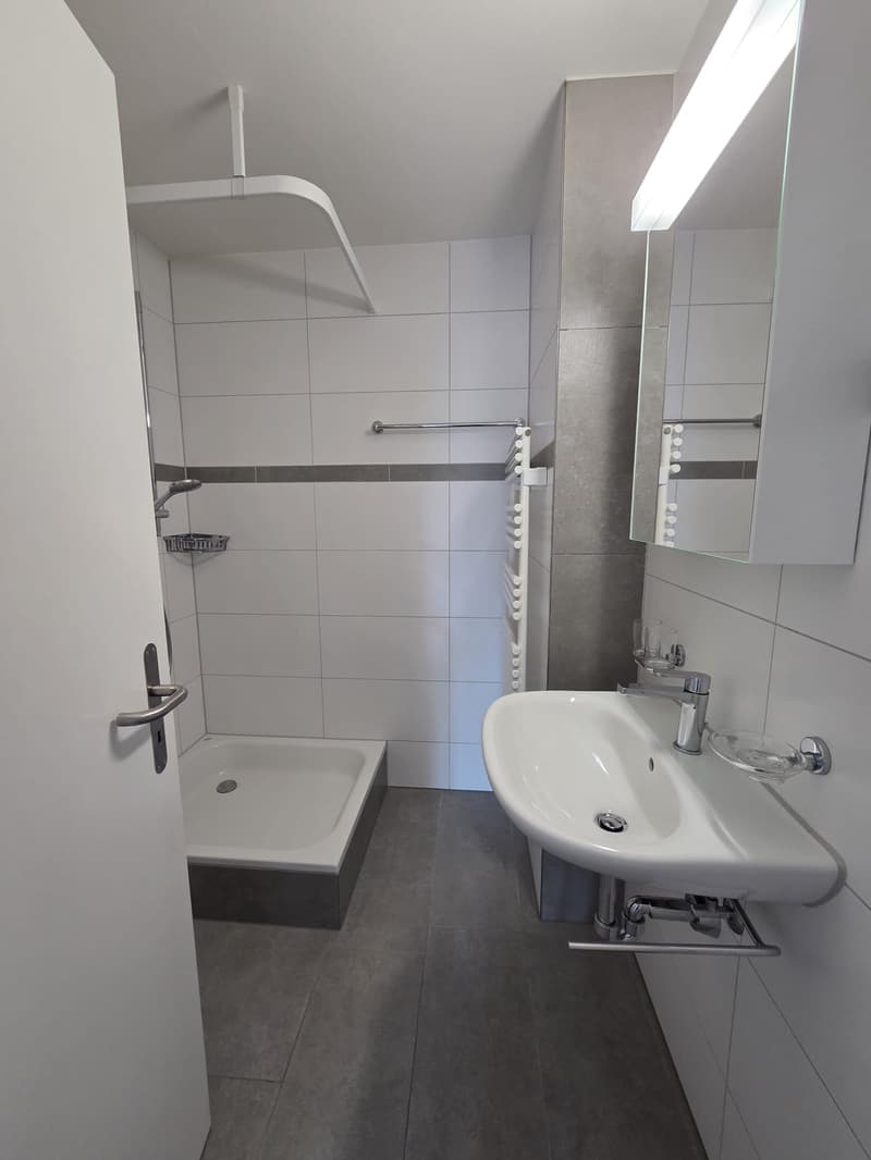 Ihr neues Zuhause in Lyss! (7)