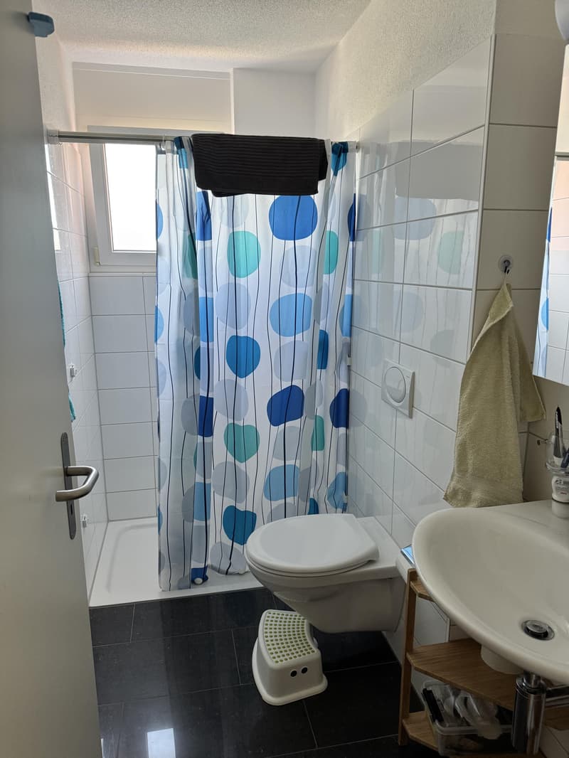Grosszügige 5.5-Zimmer-Wohnung in familienfreundlichem Quartier (4)