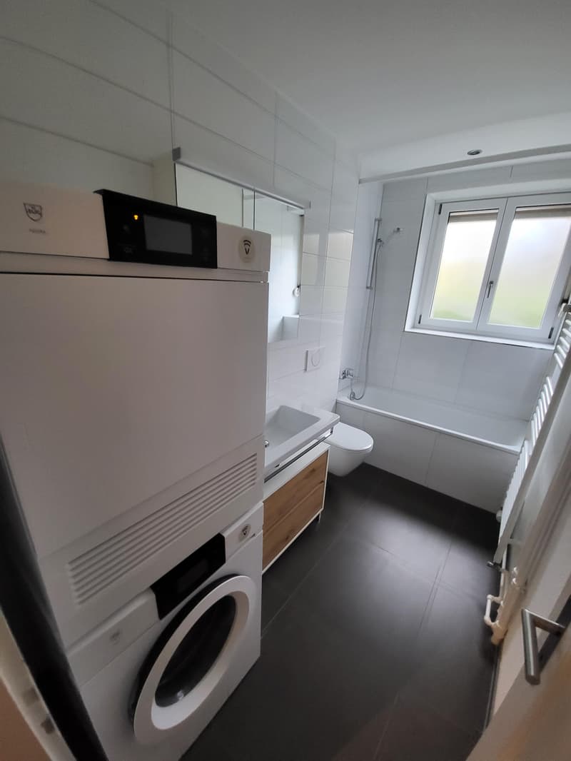 Helle 3-Zimmerwohnung in Bern (3)