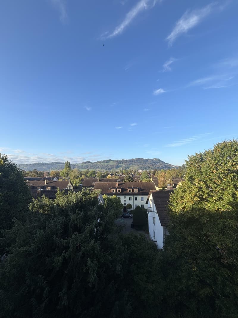 Helle 3-Zimmerwohnung in Bern (1)