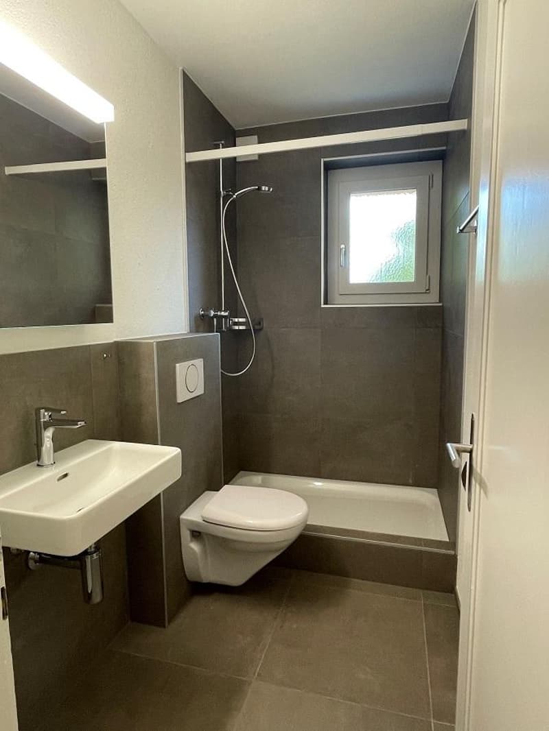 Moderne Wohnung mit optimaler Verkehrsanbindung (7)
