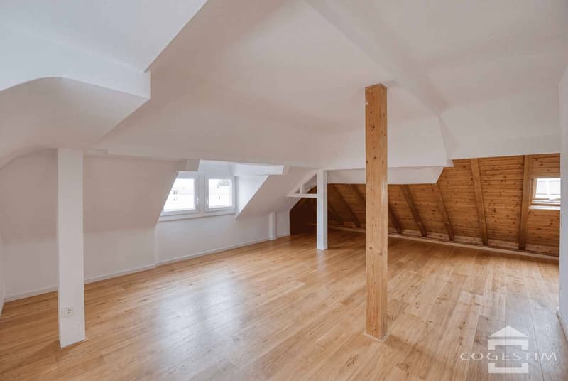 Appartement de caractère en combles avec vue exceptionnelle (10)