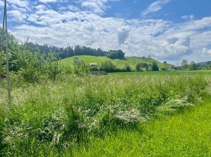 Voll erschlossenes Bauland in Walkringen BE