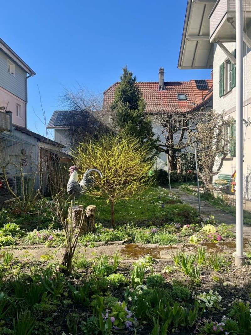 Historisches Mehrfamilienhaus mit drei Wohneinheiten in Burgdorf (6)