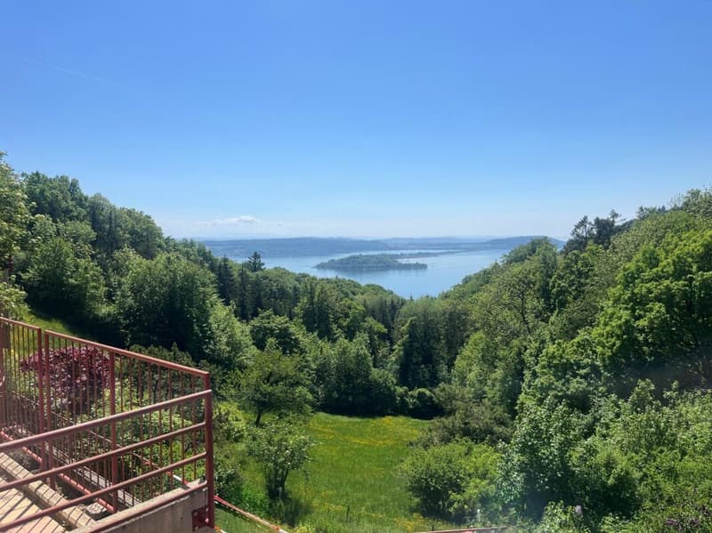 6,5-Zimmer-(Ferien)-Wohnung mit Seeblick - Ihre Oase am Bielersee! (13)