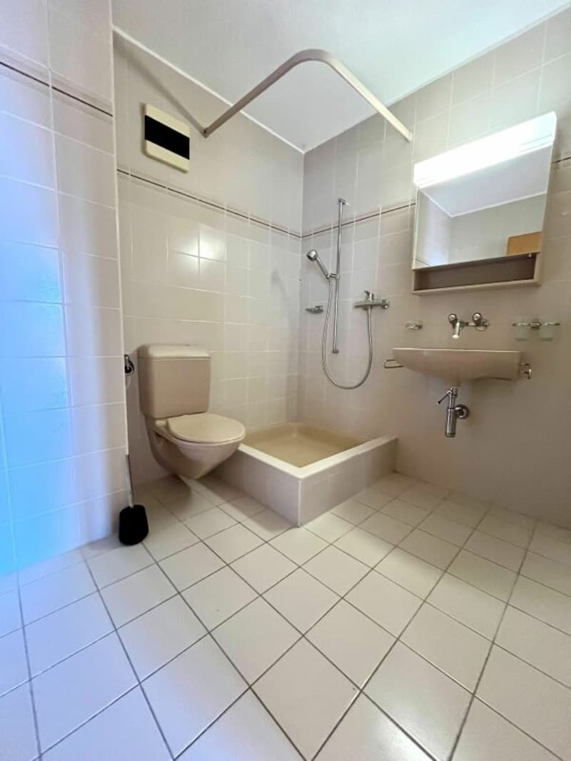 6,5-Zimmer-(Ferien)-Wohnung mit Seeblick - Ihre Oase am Bielersee! (11)