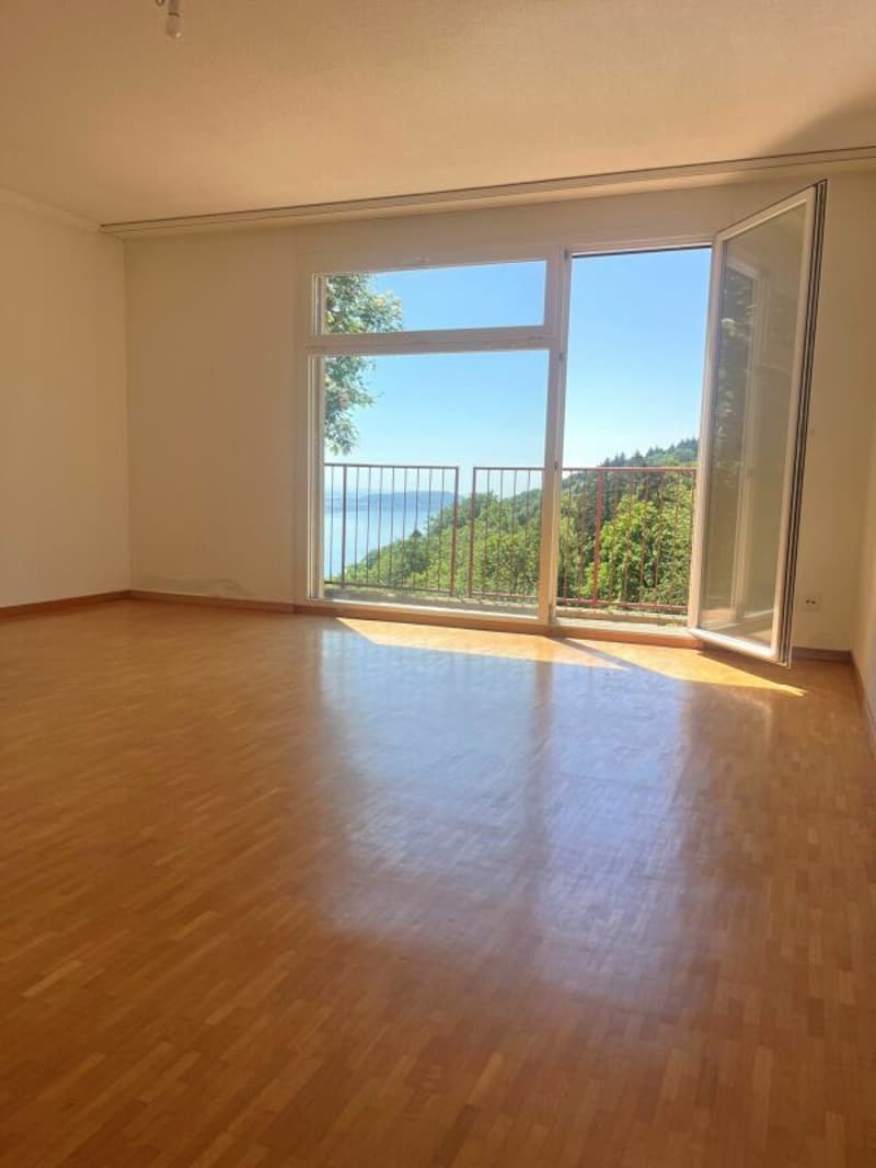 6,5-Zimmer-(Ferien)-Wohnung mit Seeblick - Ihre Oase am Bielersee! (8)