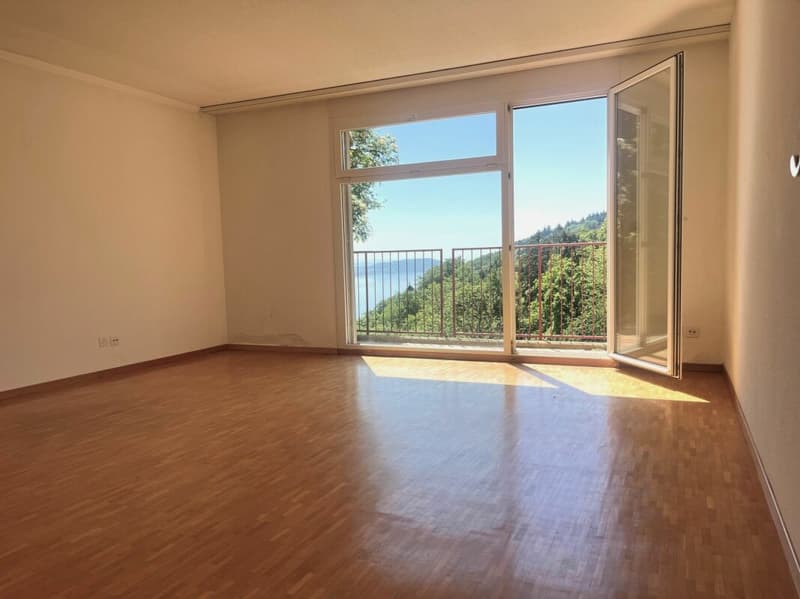 6,5-Zimmer-(Ferien)-Wohnung mit Seeblick - Ihre Oase am Bielersee! (6)