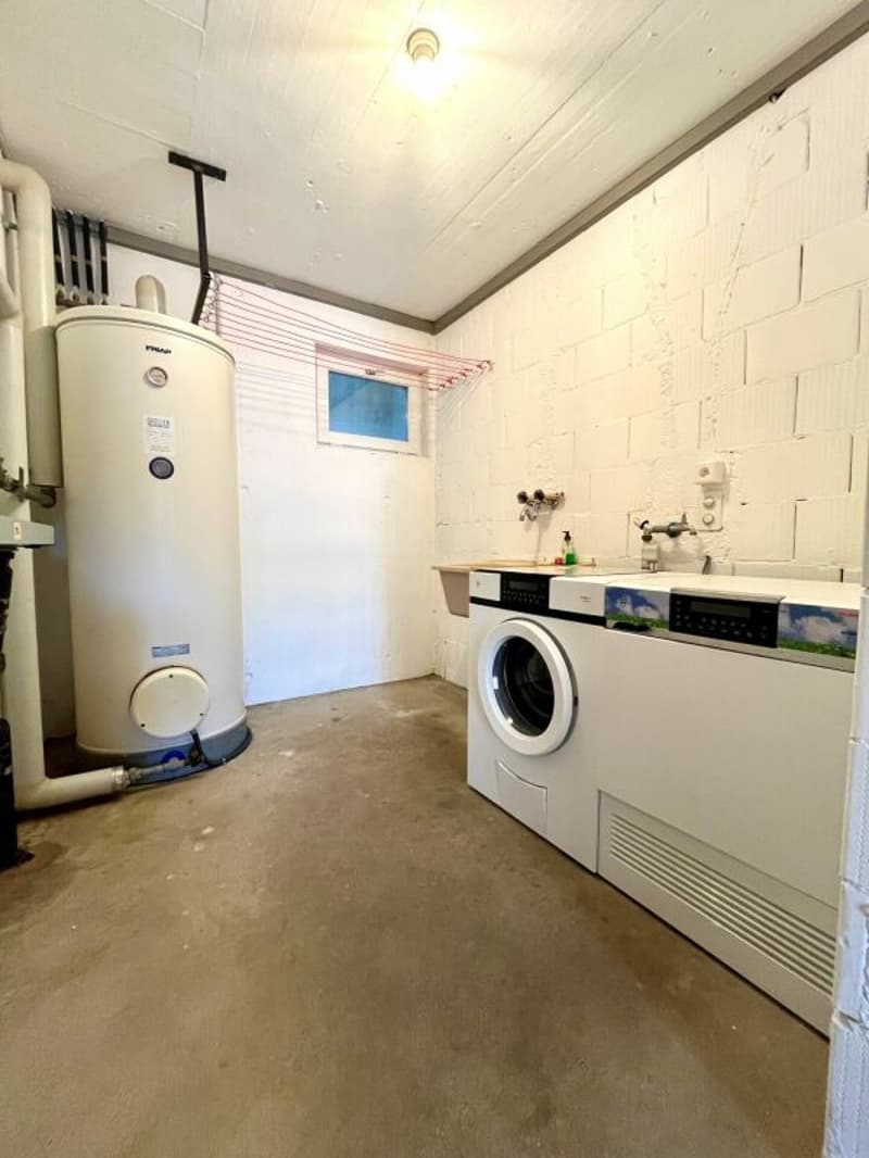 6,5-Zimmer-(Ferien)-Wohnung mit Seeblick - Ihre Oase am Bielersee! (12)