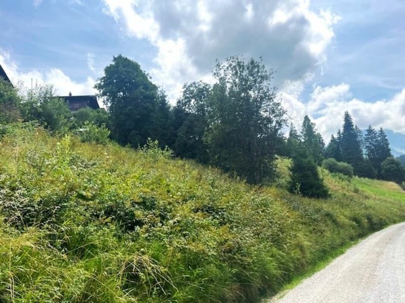 Grosse Baulandparzelle von 906 m2 an erhöhter Lage in Plaffeien FR (6)