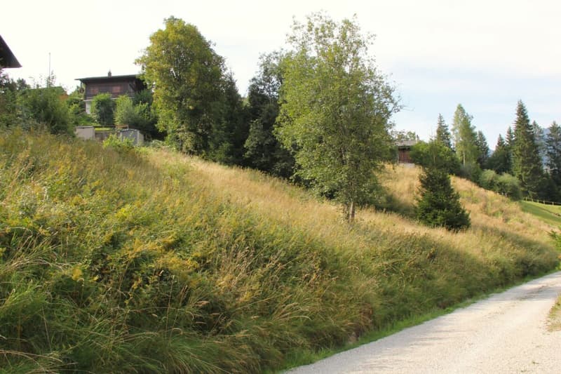 Grosse Baulandparzelle von 906 m2 an erhöhter Lage in Plaffeien FR (8)