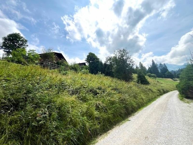 Grosse Baulandparzelle von 906 m2 an erhöhter Lage in Plaffeien FR (3)