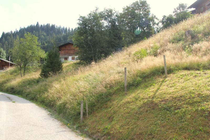 Attraktives Chalet an erhöhter Lage in Plaffeien, Schwarzsee FR (7)