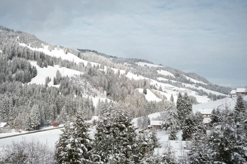 Attraktives Chalet an erhöhter Lage in Plaffeien, Schwarzsee FR (10)