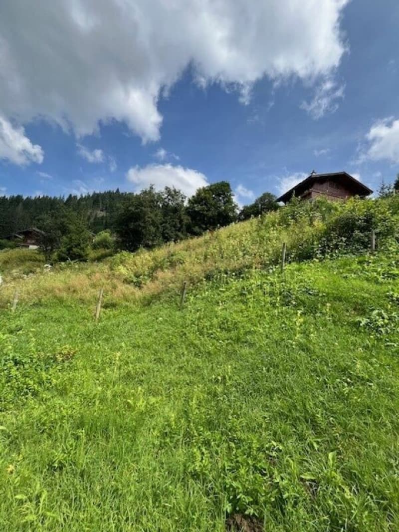 Zu verkaufen Baulandparzelle an erhöhter Lage in Plaffeien FR - Schwarzsee (8)