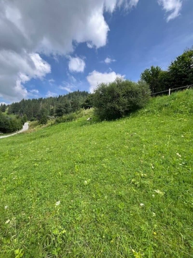 Zu verkaufen Baulandparzelle an erhöhter Lage in Plaffeien FR - Schwarzsee (7)