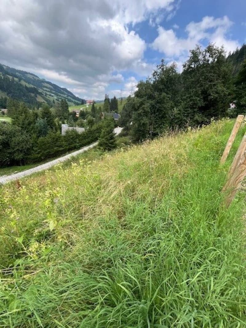 Zu verkaufen Baulandparzelle an erhöhter Lage in Plaffeien FR - Schwarzsee (5)