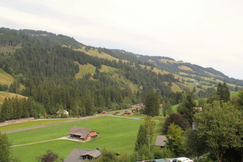 Zu verkaufen Baulandparzelle an erhöhter Lage in Plaffeien FR - Schwarzsee (2)