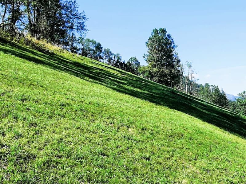 Teilerschlossenes Bauland an sonniger Hanglage in Zweisimmen BE (1)