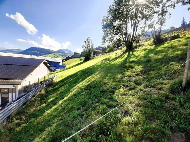 Teilerschlossenes Bauland an sonniger Hanglage in Zweisimmen BE (7)