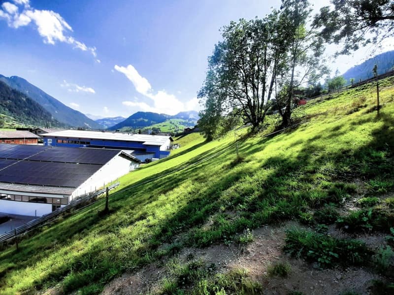 Teilerschlossenes Bauland an sonniger Hanglage in Zweisimmen BE (5)