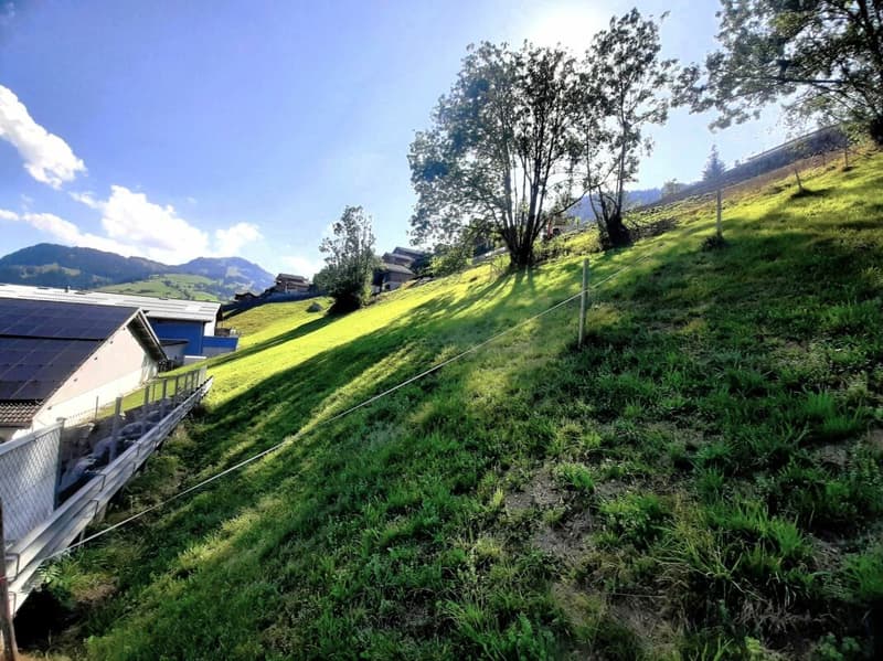 Teilerschlossenes Bauland an sonniger Hanglage in Zweisimmen BE (9)