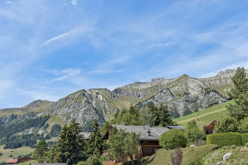 Grosses 7-Zimmer Chalet mit Einliegerwohnung und wunderbarer Weitsicht in Château-d'Oex VD (2)