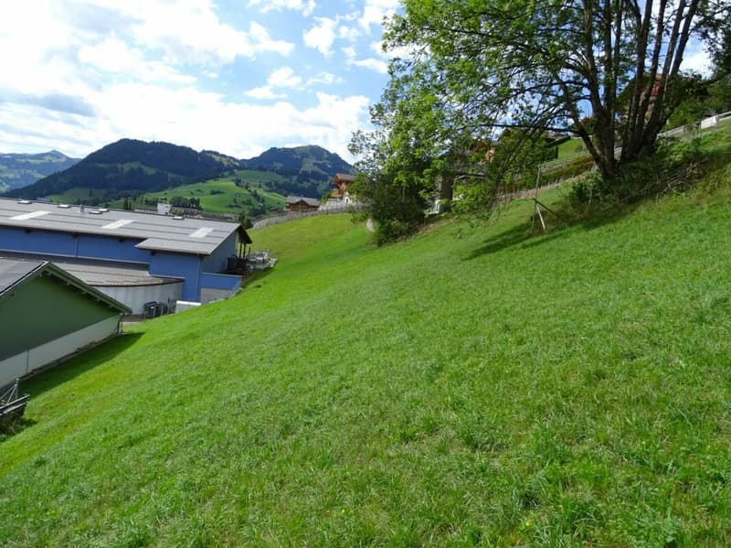 Bauland von 717 m2 an sonniger Hanglage in Zweisimmen BE (3)