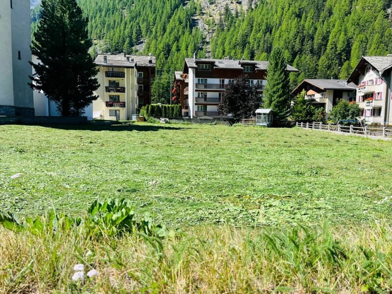 Grosszügige Baulandparzelle in Saas Balen VS für W4 Bauten (1)