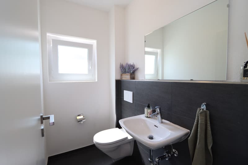 Gästetoilette Balsthal Marlin Immobilien AG
