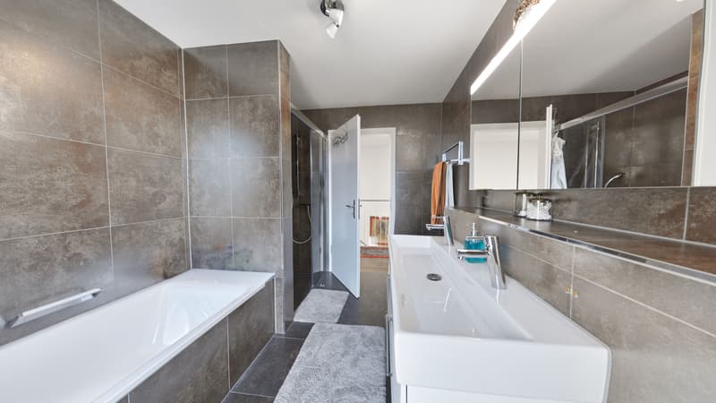 Bad_Thun_DEFH_Marlin Immobilien