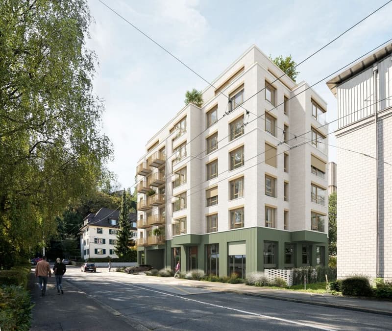 Neubau 3.5-Zimmer Wohnung Tribschen Luzern (2)