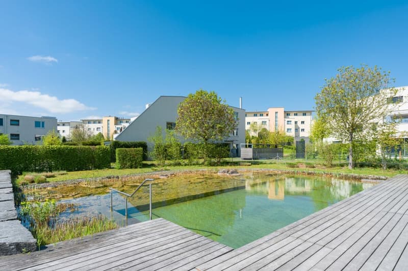 Helle 3.5-Zimmer Terrassenwohnung (1)
