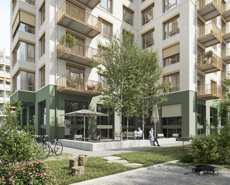 Neubau 4.5-Zimmer Attika Wohnung mit einzigartiger Terrasse (2)