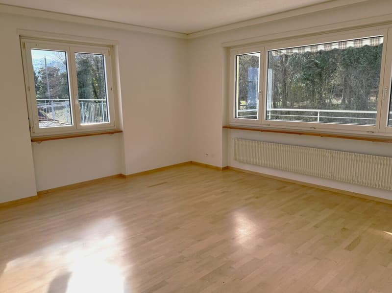 Befristet: Grosszügige 5.5-Zimmer Wohnung mit drei Balkonen und Garage (4)