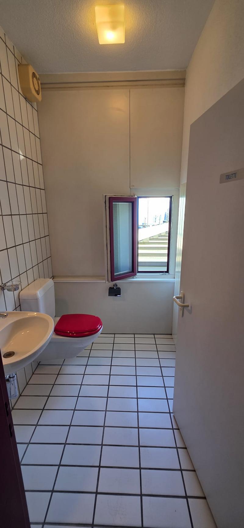 Bathroom with toilet, sink, small window and open door