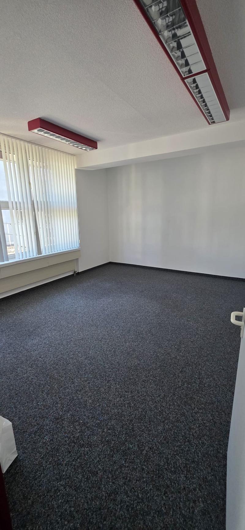 carpeted room, white walls, two long windows with white blinds, two ceiling lights