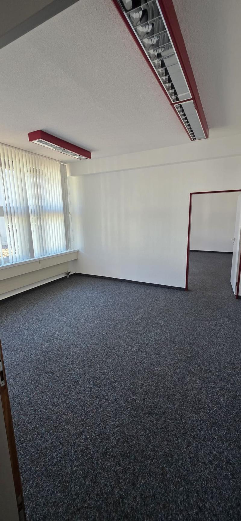Empty room with white walls, gray carpet, window, and ceiling lights