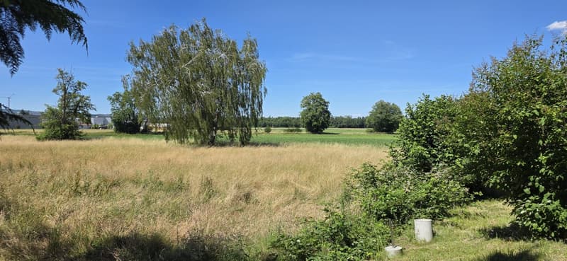 Neu sanierte helle 4-Zimmer-Wohnungen mit Balkon in ruhiger Lage – Schlatt TG (12)