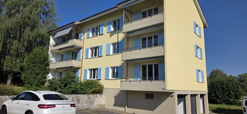 Neu sanierte helle 4-Zimmer-Wohnungen mit Balkon in ruhiger Lage – Schlatt TG (11)