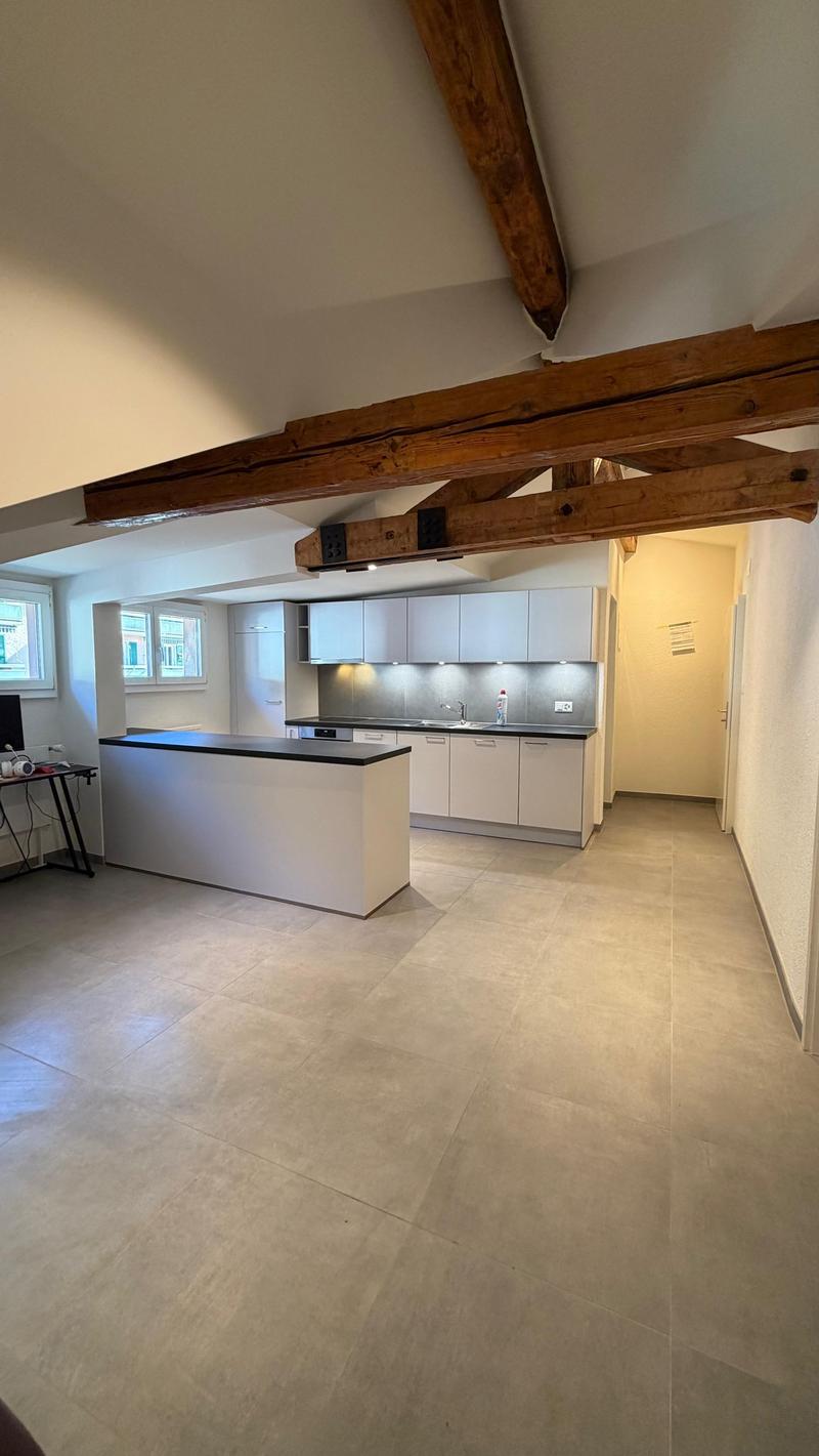 Magnifique appartement de 3.5 pièces en attique (1)