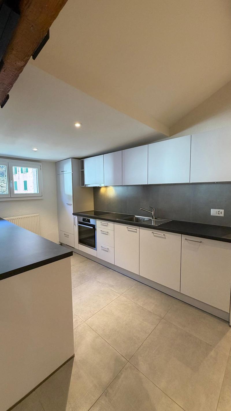 Magnifique appartement de 3.5 pièces en attique (3)