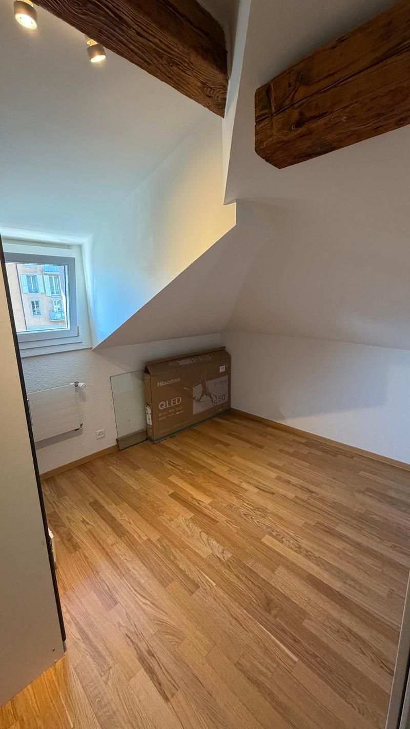 Magnifique appartement de 3.5 pièces en attique (4)