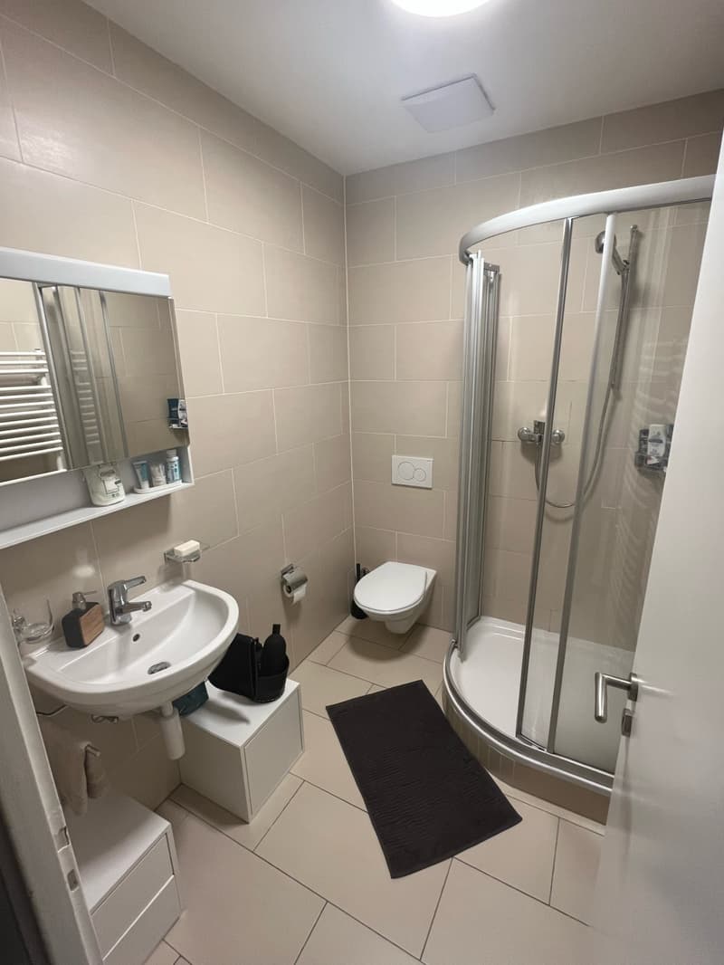 Charmant appartement de 1.5 pièces à Lausanne (Malley) (3)